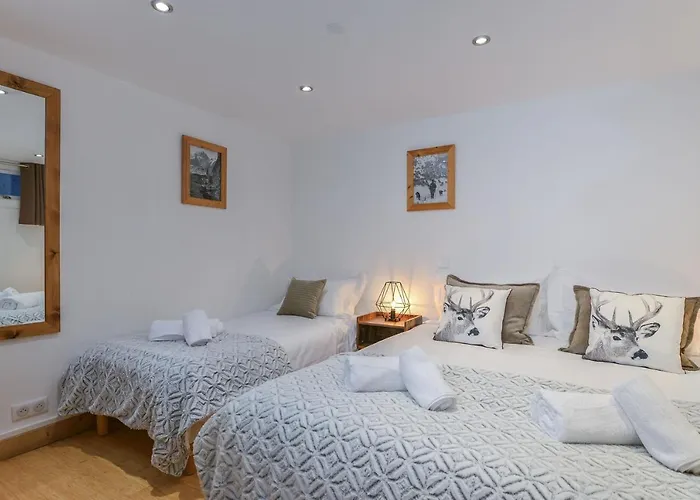 Chardonnet * شامونكس